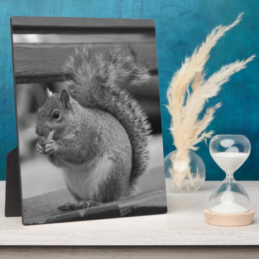 Eichhörnchen Fotoplatte (Seite)