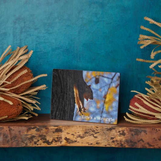 Eichhörnchen Fotoplatte (Seite)