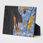 Eichhörnchen Fotoplatte (Seite)