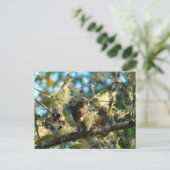 Eichhörnchen für BlackBerry Postkarte (Stehend Vorderseite)
