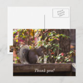 Eichhörnchen-Futter-Zeit Dankeschön-Postkarte Postkarte (Vorne/Hinten)