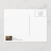Eichhörnchen-Futter-Zeit Dankeschön-Postkarte Postkarte (Rückseite)
