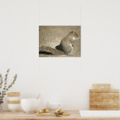 Eichhörnchen Fütternd Zeitdruck Poster (Küche)