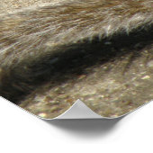 Eichhörnchen Fütternd Zeitdruck Poster (Ecke)