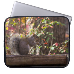 Eichhörnchen-Fütterungszeit Laptopschutzhülle
