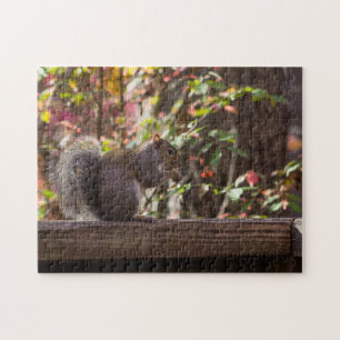 Eichhörnchen-Fütterungszeit Puzzle