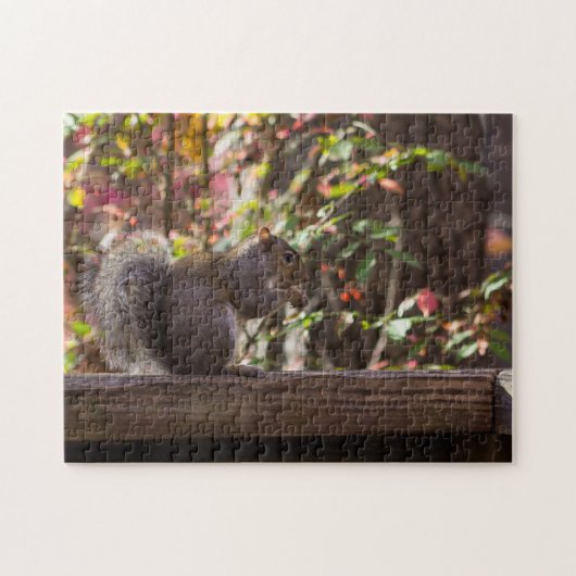 Eichhörnchen-Fütterungszeit Puzzle (Horizontal)