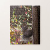 Eichhörnchen-Fütterungszeit Puzzle (Vertikal)