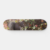 Eichhörnchen-Fütterungszeit Skateboard (Horizontal)
