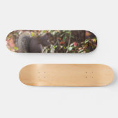 Eichhörnchen-Fütterungszeit Skateboard (Horizontal)