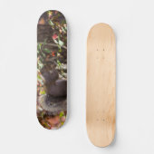 Eichhörnchen-Fütterungszeit Skateboard (Vorderseite)
