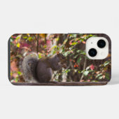 Eichhörnchen-Futterzeit iPhone-Hülle iPhone Hülle (Rückseite (Horizontal))