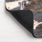 Eichhörnchen gegen Klapperschlange Mousepad (Ecke)