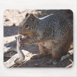 Eichhörnchen gegen Klapperschlange Mousepad