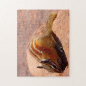 Eichhörnchen Gelbstein. Puzzle (Vertikal)