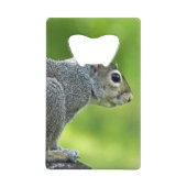 Eichhörnchen Geldbeutel Flaschenöffner (Vorderseite)