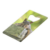 Eichhörnchen Geldbeutel Flaschenöffner (Vorderseite Schrägansicht)