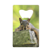 Eichhörnchen Geldbeutel Flaschenöffner (Rückseite)