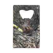 Eichhörnchen Geldbeutel Flaschenöffner (Rückseite)