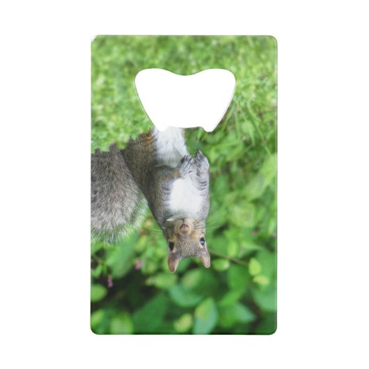 Eichhörnchen Geldbeutel Flaschenöffner (Vorderseite)