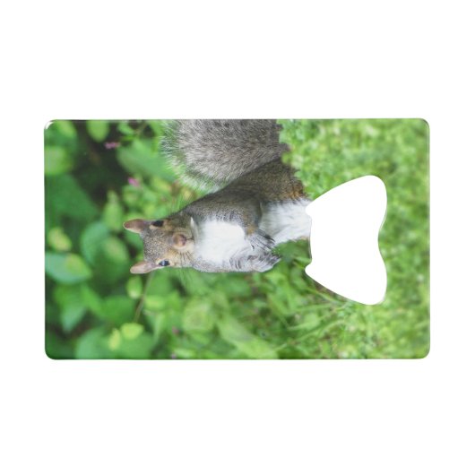 Eichhörnchen Geldbeutel Flaschenöffner (Vorderseite (Horizontal))