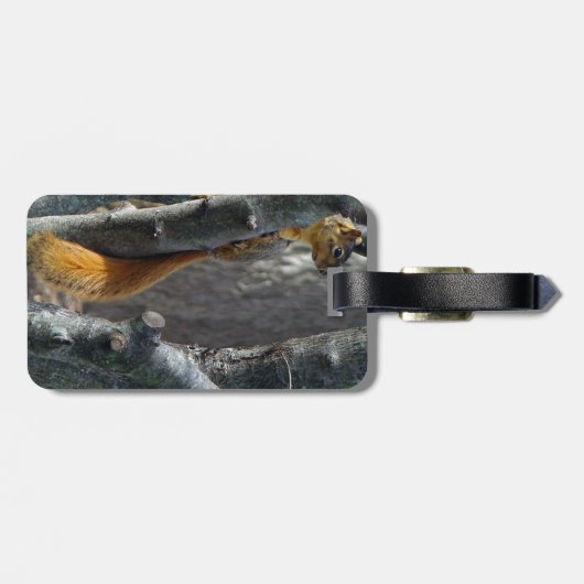 Eichhörnchen Gepäckanhänger (Rückseite horizontal)