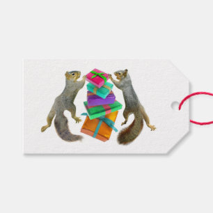 Eichhörnchen-Geschenk-Geschenk-Umbauten Geschenkanhänger