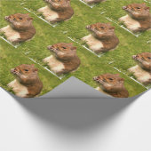 Eichhörnchen Geschenkpapier (Ecke)