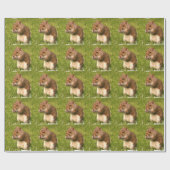Eichhörnchen Geschenkpapier (Flach)