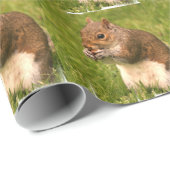 Eichhörnchen Geschenkpapier (Rolleneckpunkt)