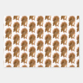 Eichhörnchen Geschenkpapier Set (Vorderseite 2)