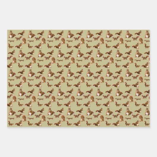 Eichhörnchen Geschenkpapier Set (Vorderseite 2)