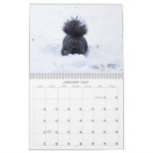 Eichhörnchen-Geschichte 2026 Wandkalender (Jan 2027)