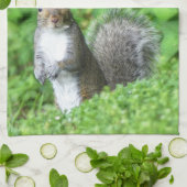 Eichhörnchen Geschirrtuch (Gefaltet)