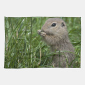 Eichhörnchen Geschirrtuch (Horizontal)