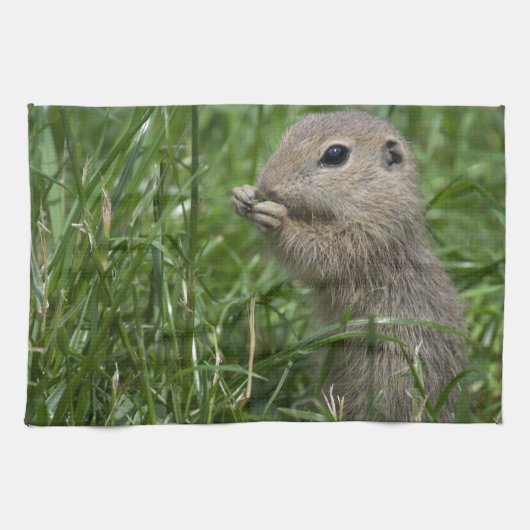 Eichhörnchen Geschirrtuch (Horizontal)