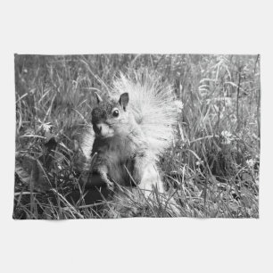 Eichhörnchen-Geschirrtuch Geschirrtuch
