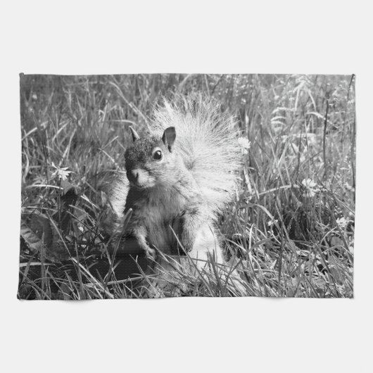 Eichhörnchen-Geschirrtuch Geschirrtuch (Horizontal)