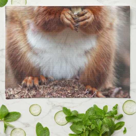 Eichhörnchen-Geschirrtuch Handtuch (Gefaltet)