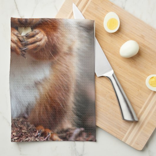 Eichhörnchen-Geschirrtuch Handtuch (Viertel Falte)