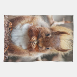 Eichhörnchen-Geschirrtuch Handtuch