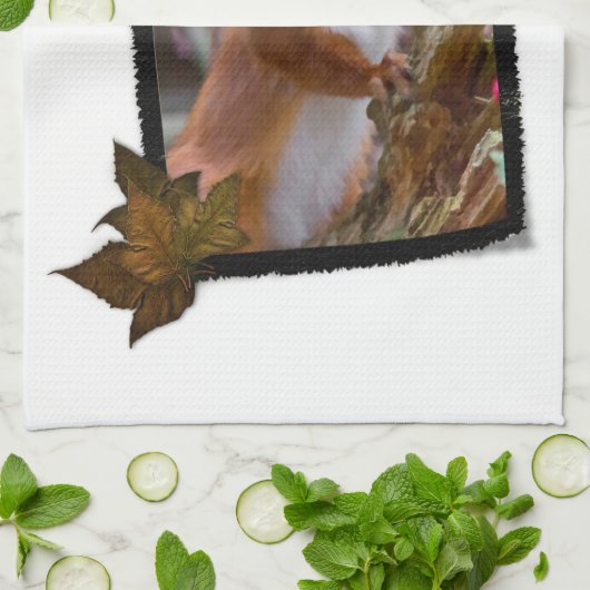 Eichhörnchen-Geschirrtuch Handtuch (Gefaltet)