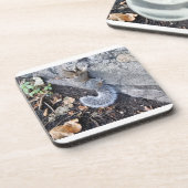 Eichhörnchen Getränkeuntersetzer (Linke Seite)