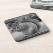 Eichhörnchen Getränkeuntersetzer (Linke Seite)