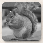 Eichhörnchen Getränkeuntersetzer (Vorderseite)