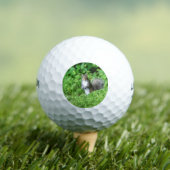 Eichhörnchen Golfball (Insitu T-Shirt)