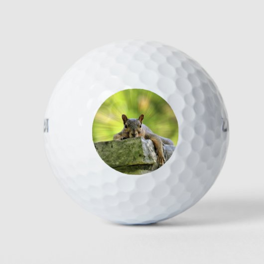 Eichhörnchen Golfball (Vorderseite)