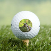 Eichhörnchen Golfball (Insitu T-Shirt)