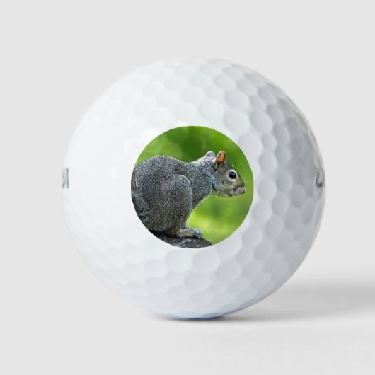 Eichhörnchen Golfball (Vorderseite)