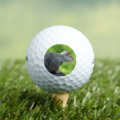 Eichhörnchen Golfball (Insitu T-Shirt)